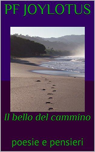 Il bello del cammino Book Cover