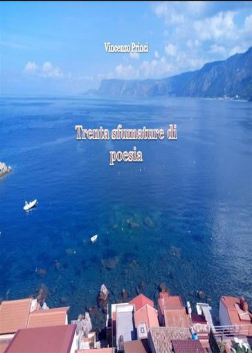 Trenta sfumature di Poesia Book Cover
