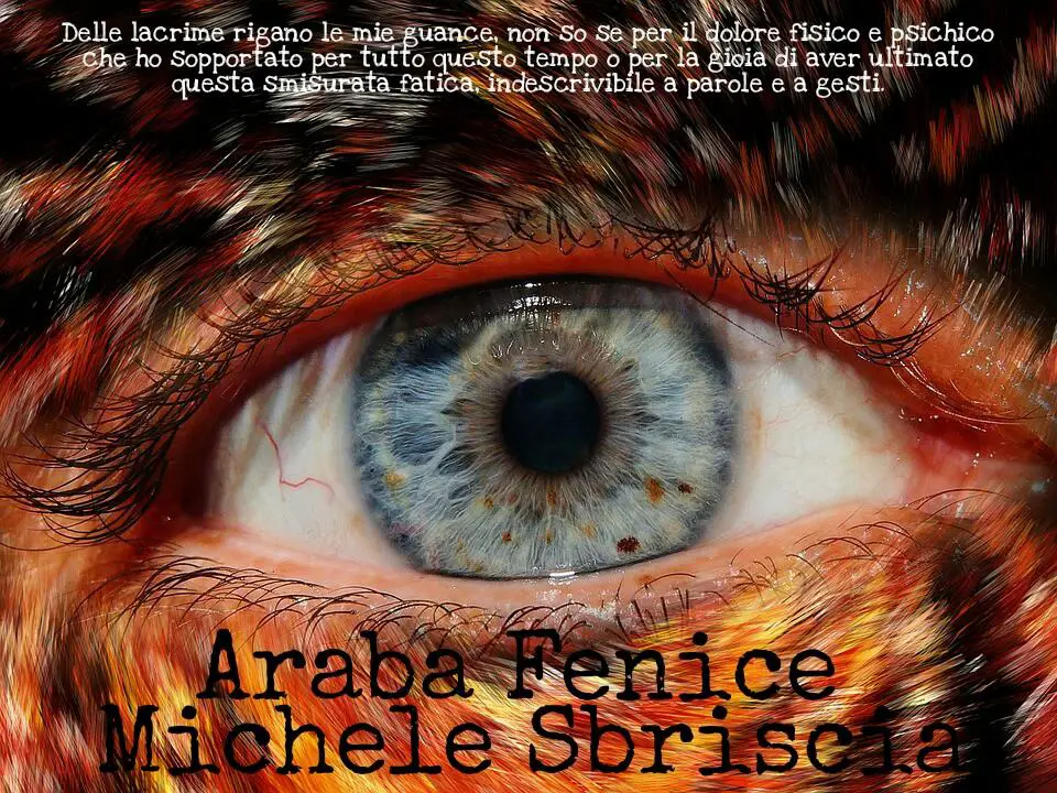 Michele sbriscia Araba Fenice
