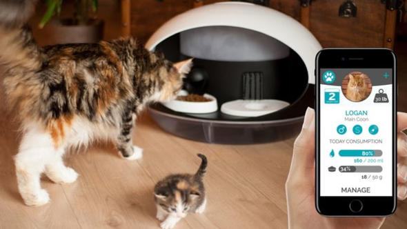 CES 2018: i gadget più curiosi presentati a Las Vegas
