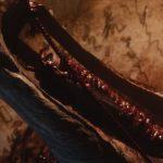 From software non sarebbe al lavoro su bloodborne 2 From software non sarebbe al lavoro su bloodborne 2