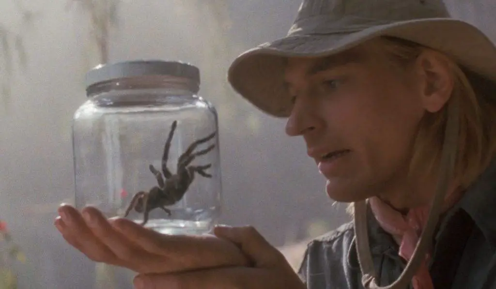 Aracnofobia avrà il suo remake? Aracnofobia