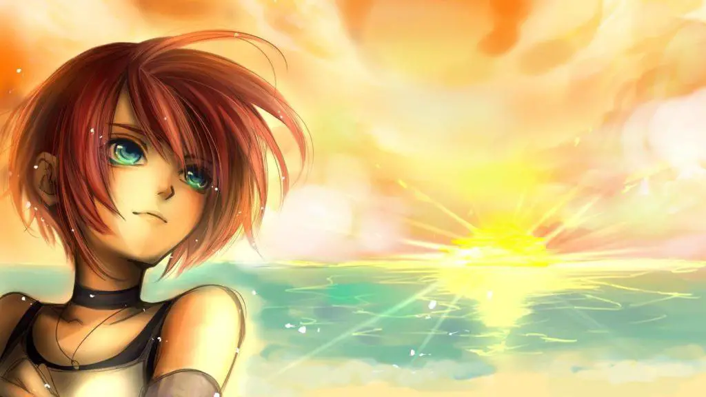 Kingdom Hearts: la storia continua 2