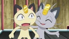 Meowth, il paladino dell'ambiente