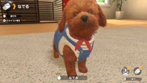 Nintendo riabbraccia gli amici a 4 zampe con Little Friends: Dogs & Cats