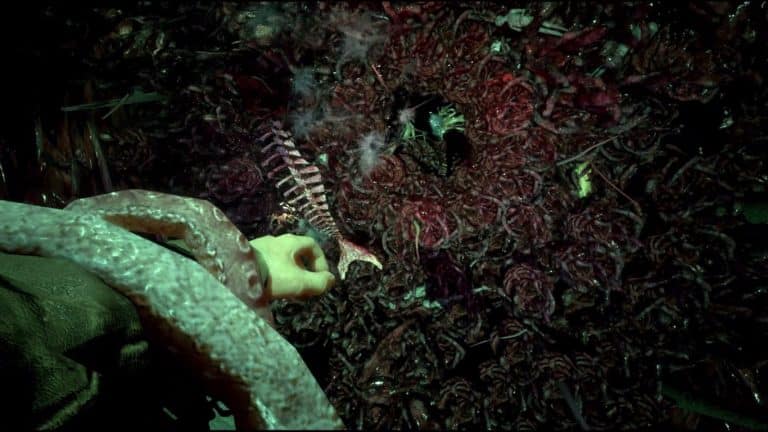 Call of cthulhu: cosa rimane dopo aver scrutato negli occhi della bestia?