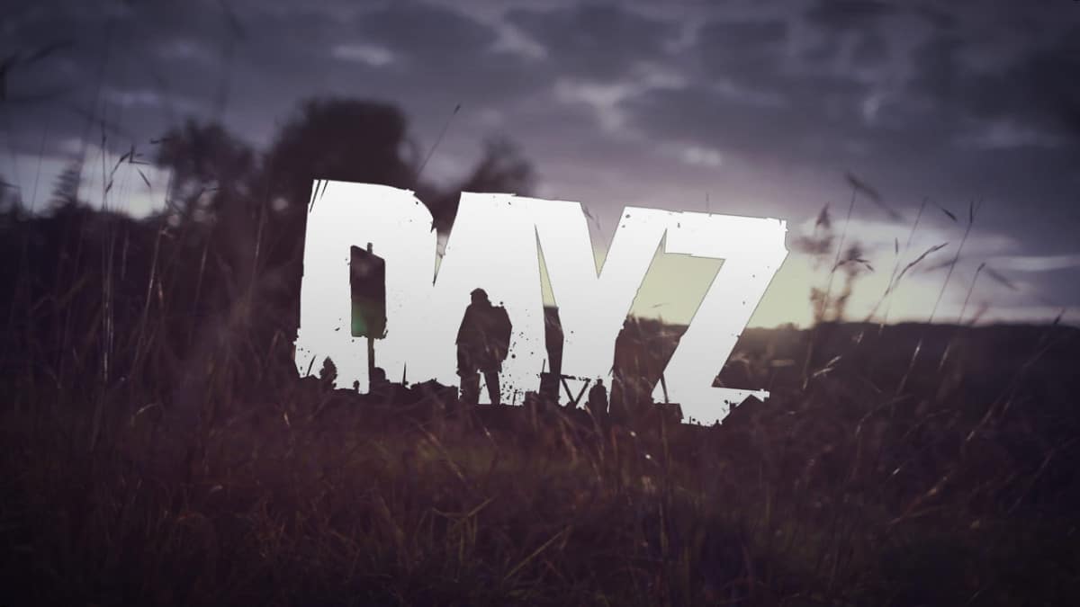 dayz