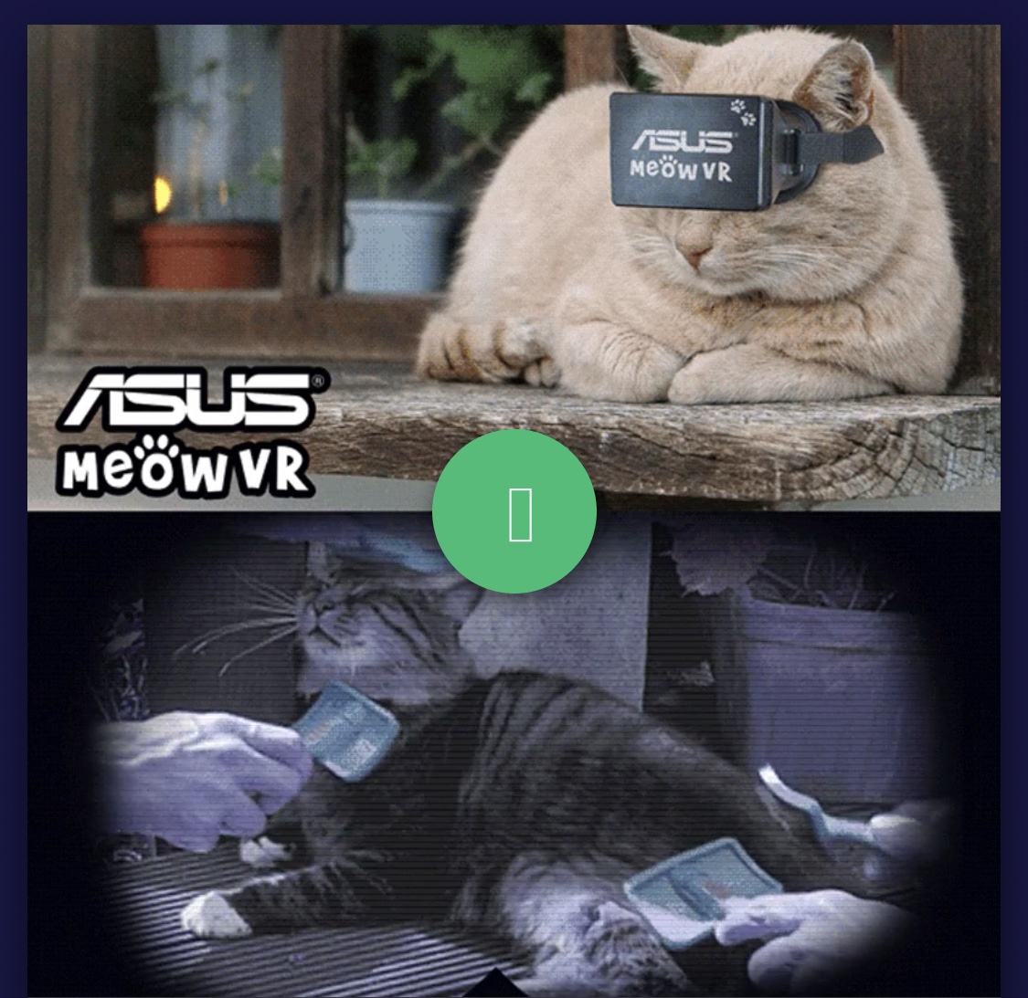 Asus Meow VR