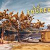 Trüberbrook arriva su switch, playstation 4 e xbox one