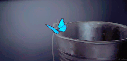 Life is Strange e l'effetto farfalla