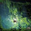 Hollow knight silksong sfida clair obscur: chi sarà il game of the year 2025?
