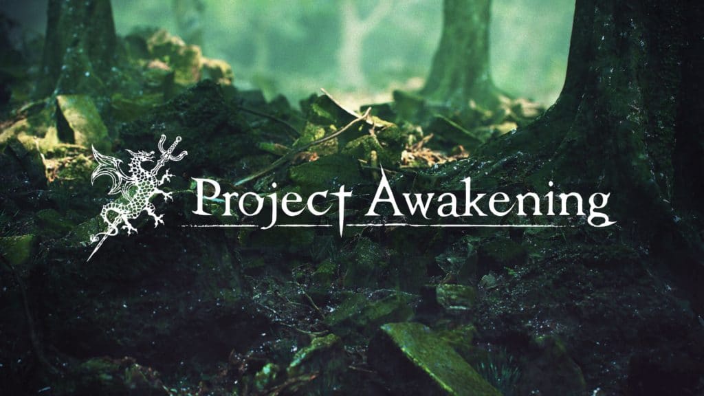 Una versione di prova di project awakening è in cantiere Project awakening possibile demo