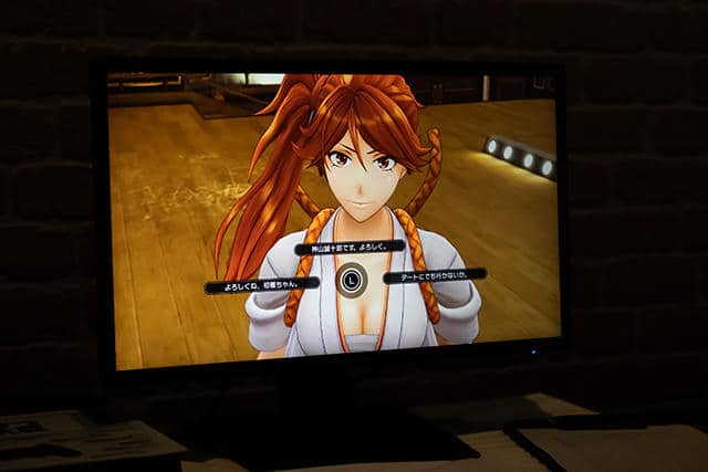 Project Sakura Wars