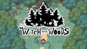 Little Witch in the Woods