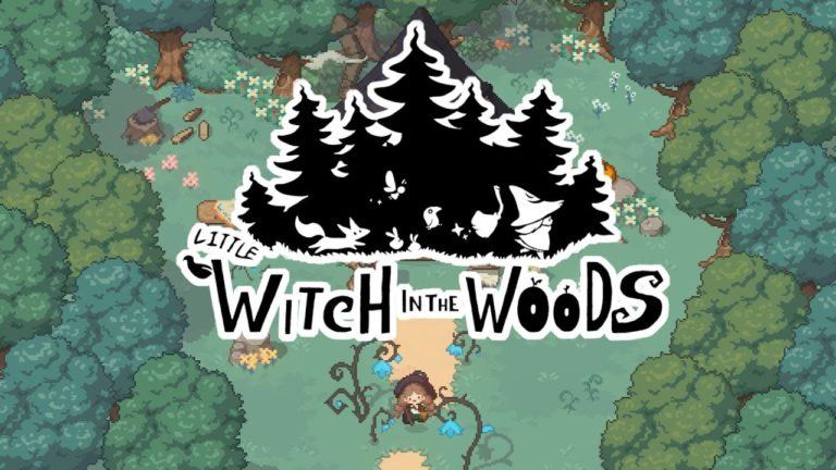 Little witch in the woods