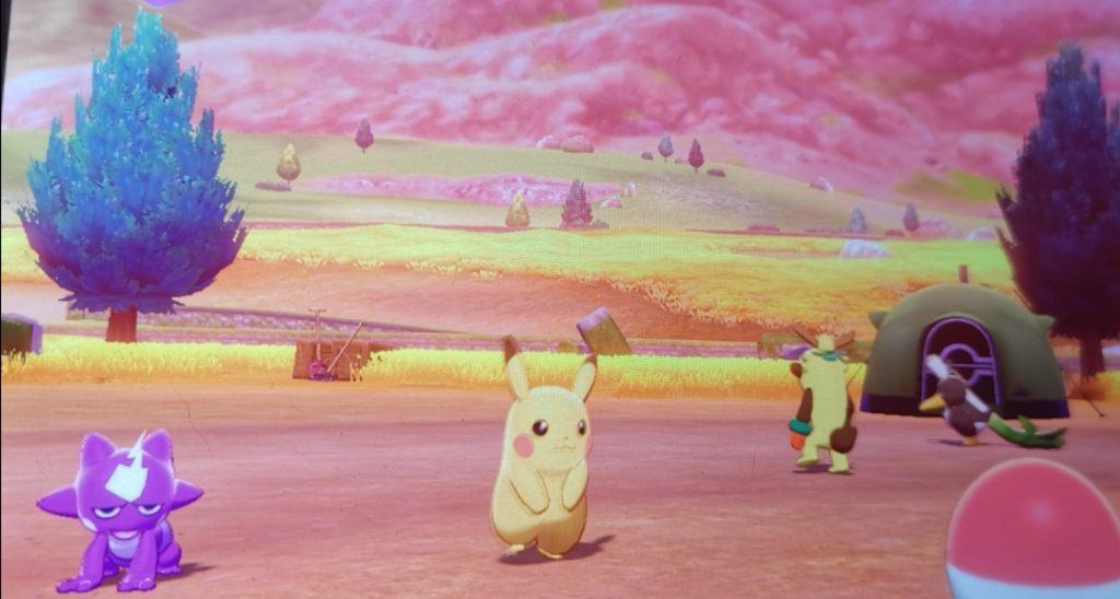 Pokémon spada e scudo, emergono già i primi leak Il campeggio pokémon, dove possiamo vedere le due creature menzionate