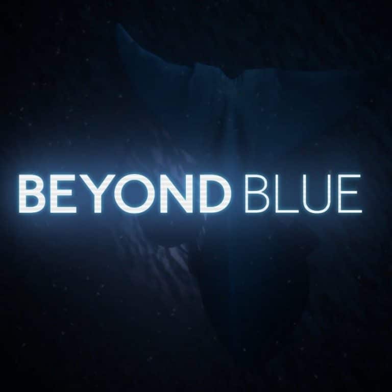 Con "beyond blue" alla scoperta delle profondità dell'oceano