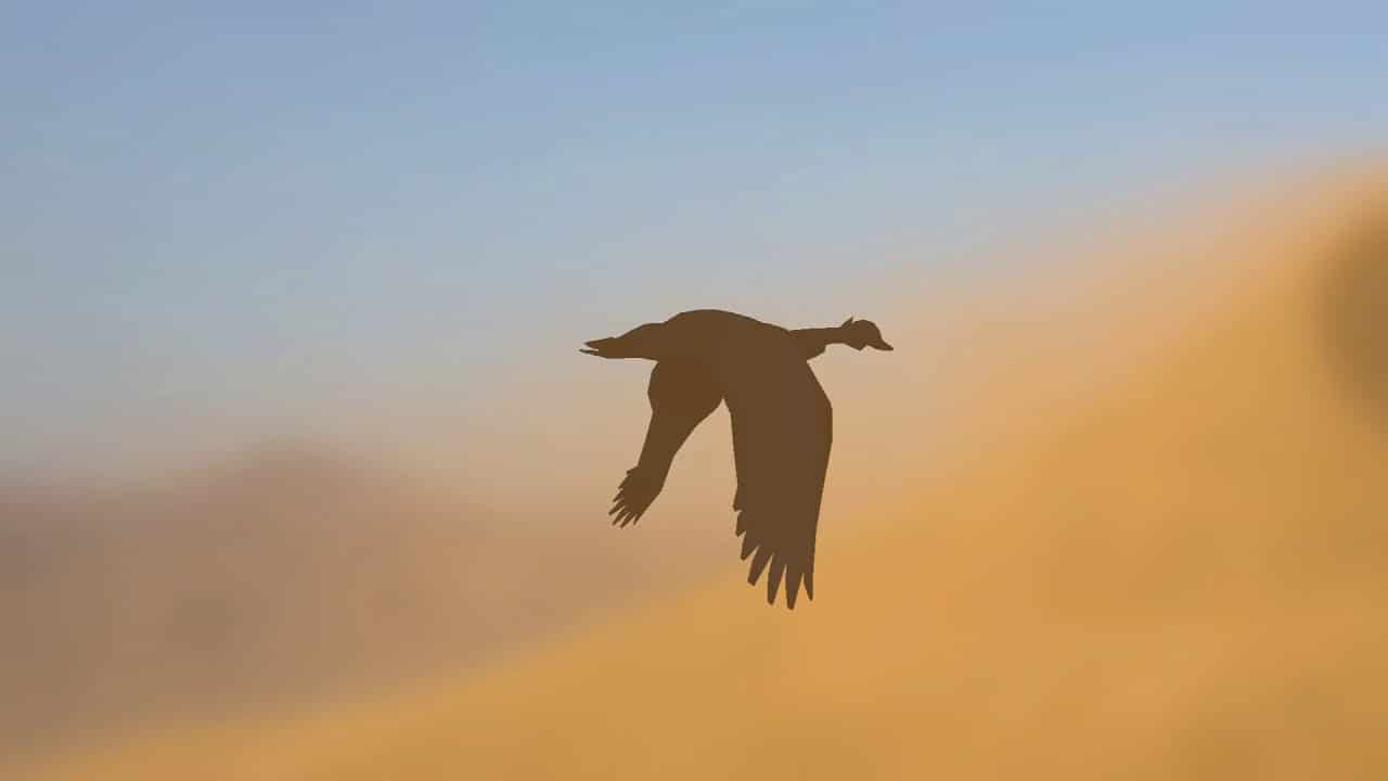 Dune Sea: la recensione 1