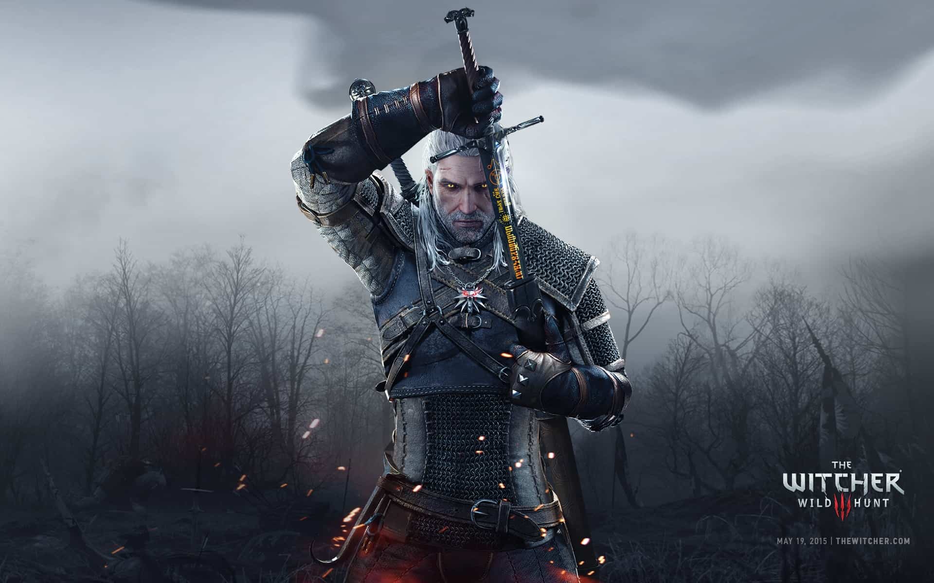 The Witcher