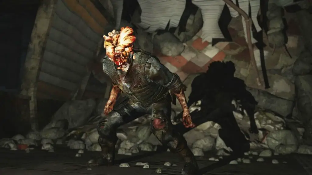 Il cordyceps di The Last of Us nella vita reale: un video impressionante