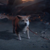 Project g. G. , il destino del cane mostrato nel trailer