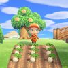 Come prevedere il prezzo delle rape in animal crossing new horizons Come prevedere il prezzo delle rape in animal crossing new horizons