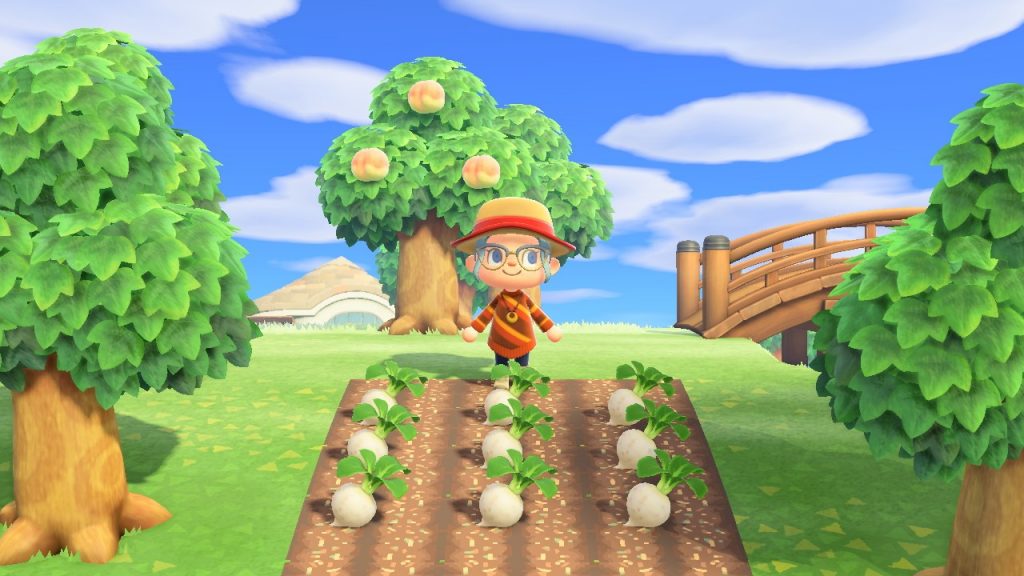 Come prevedere il prezzo delle rape in animal crossing new horizons Andamento del prezzo delle rpe