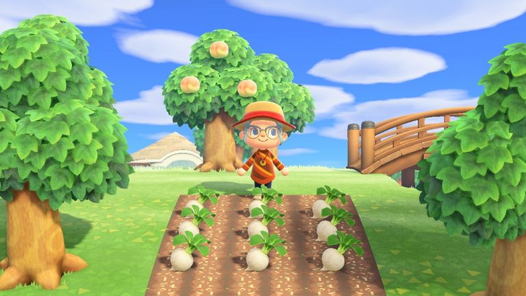 Come prevedere il prezzo delle rape in animal crossing new horizons