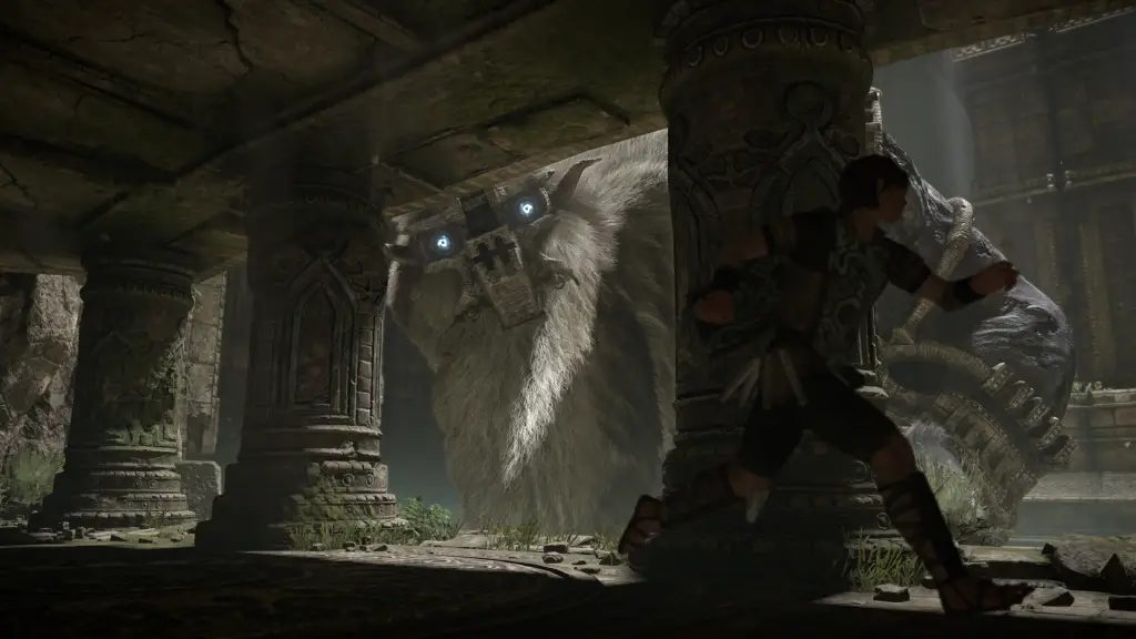 barba Shadow of the Colossus