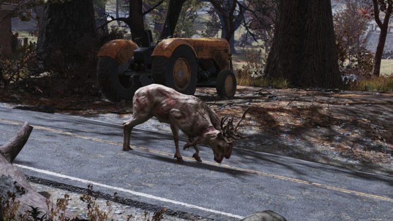 Fallout 76 e l'observant radstag che non conviene uccidere!