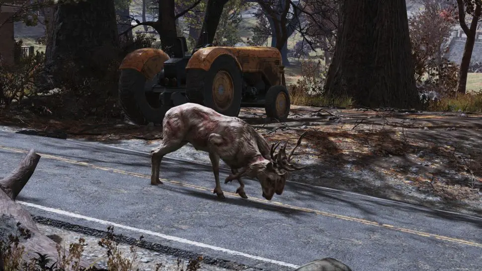 Fallout 76 e l'Observant Radstag che non conviene uccidere!