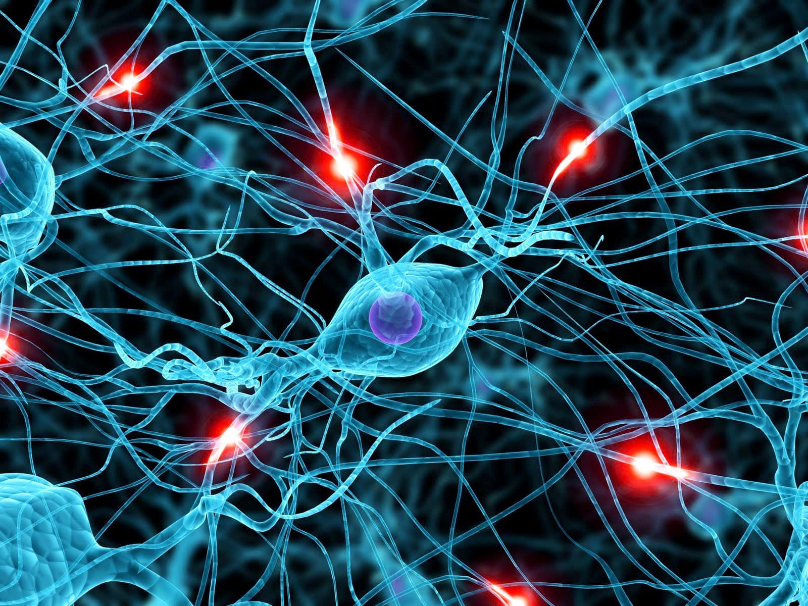 sinapsi videogame cervello