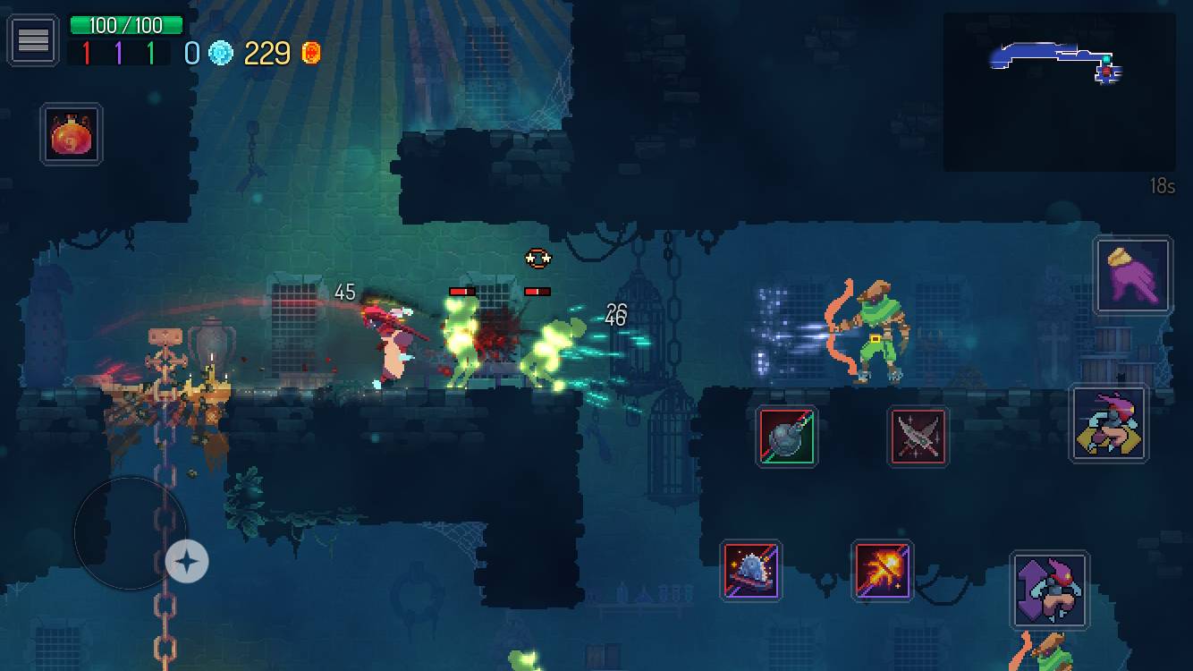 dead cells