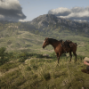 L'open world non fa più per me L'open world non fa più per me