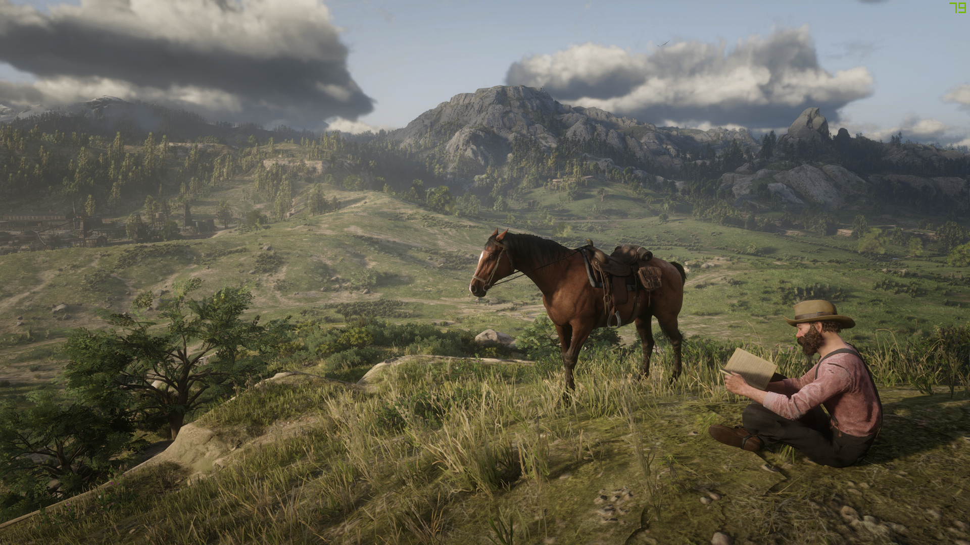 Red Dead Redemption 2