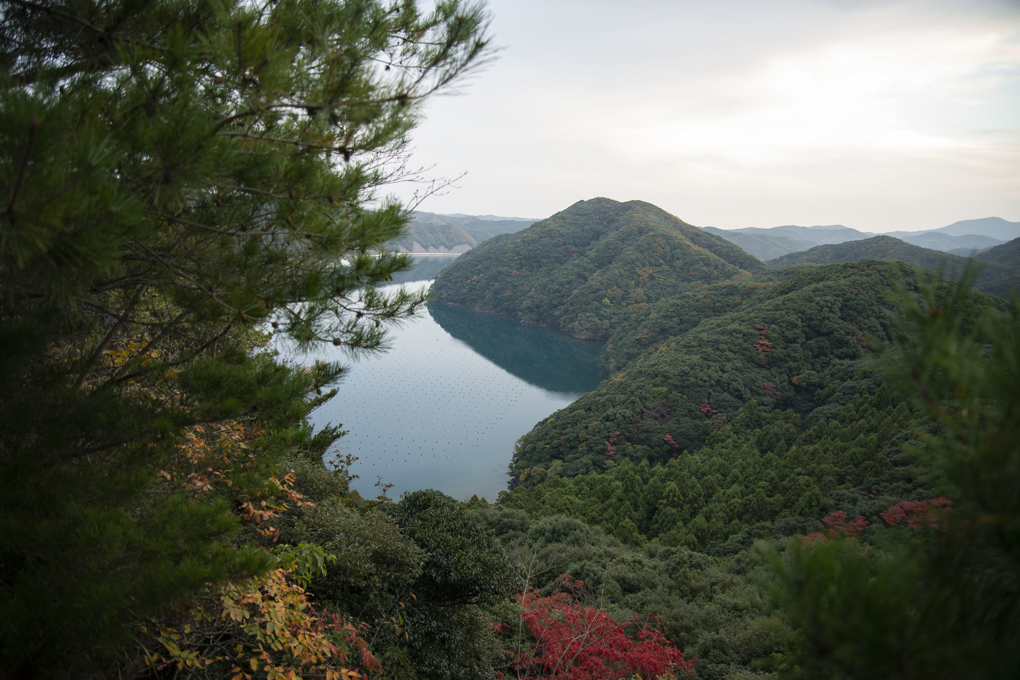 L'isola di Tsushima nella realtà