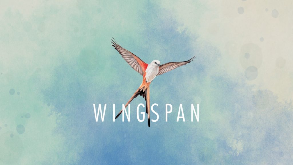 Wingspan: il gioco dei 170 uccelli Wingspan
