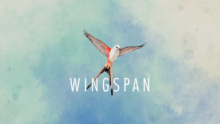Wingspan: il gioco dei 170 uccelli
