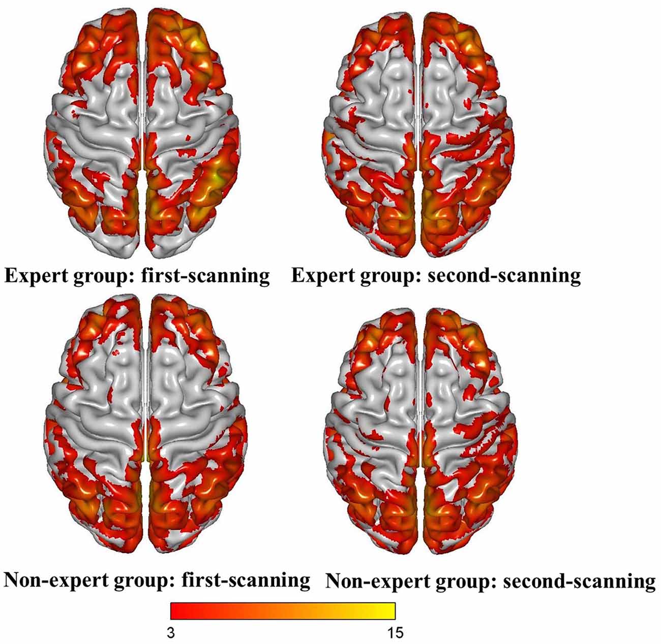 capacità cognitiva