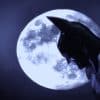 Batman arkham asylum, leak della versione nintendo ds