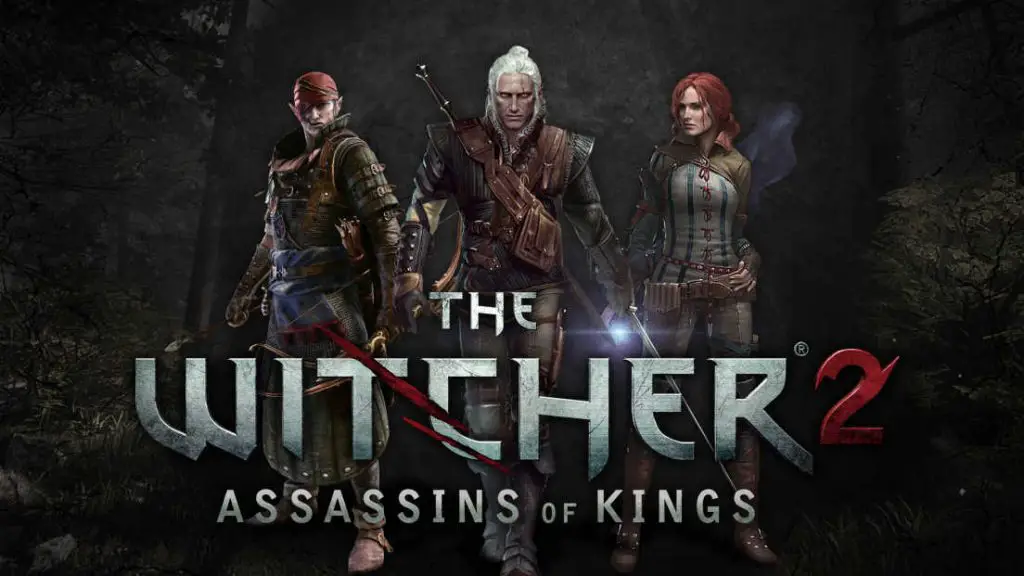 the witcher 2