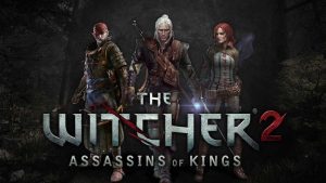 the witcher 2