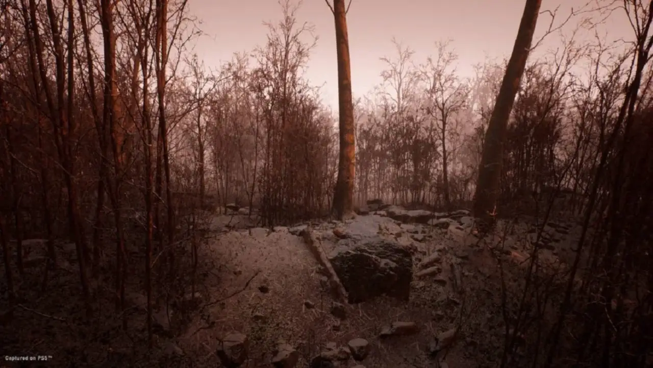 Abandoned: lo sviluppo sembra essere stato arrestato 1