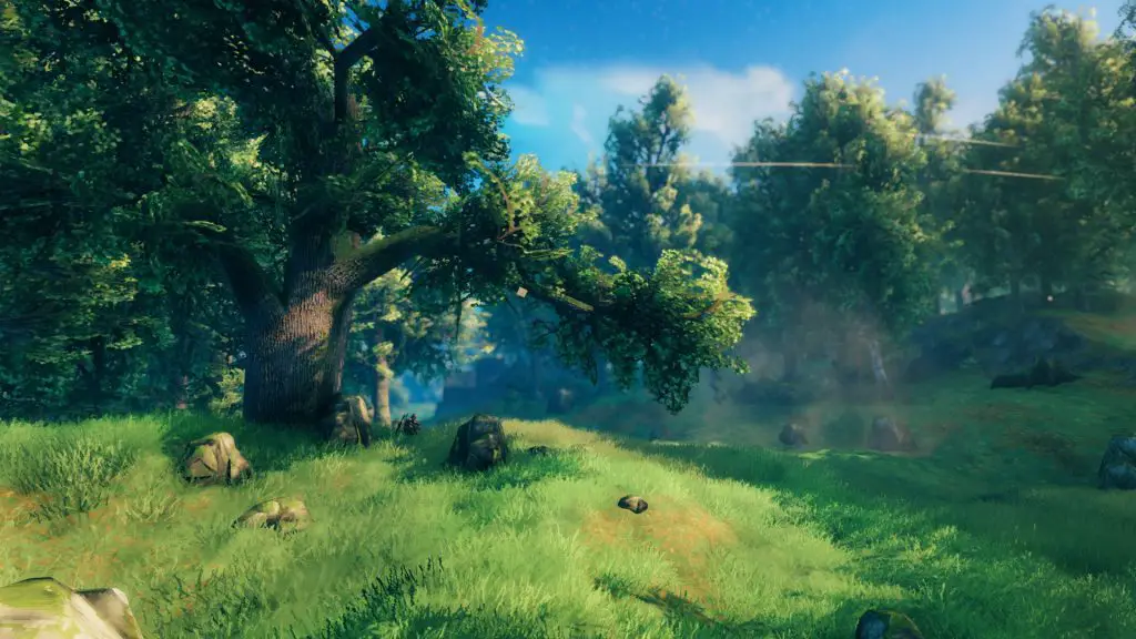 Screenshot da Valheim