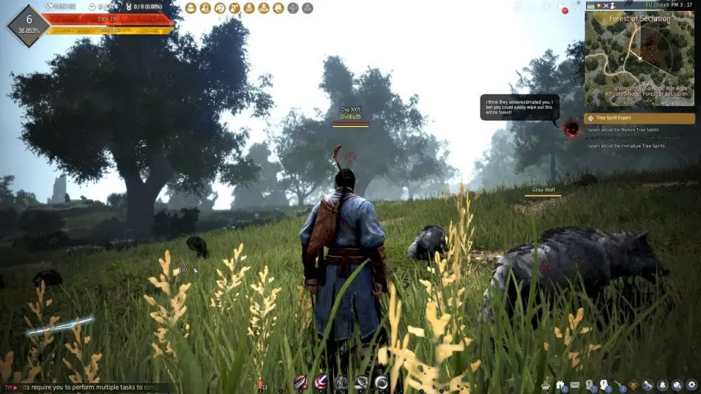 Black desert online