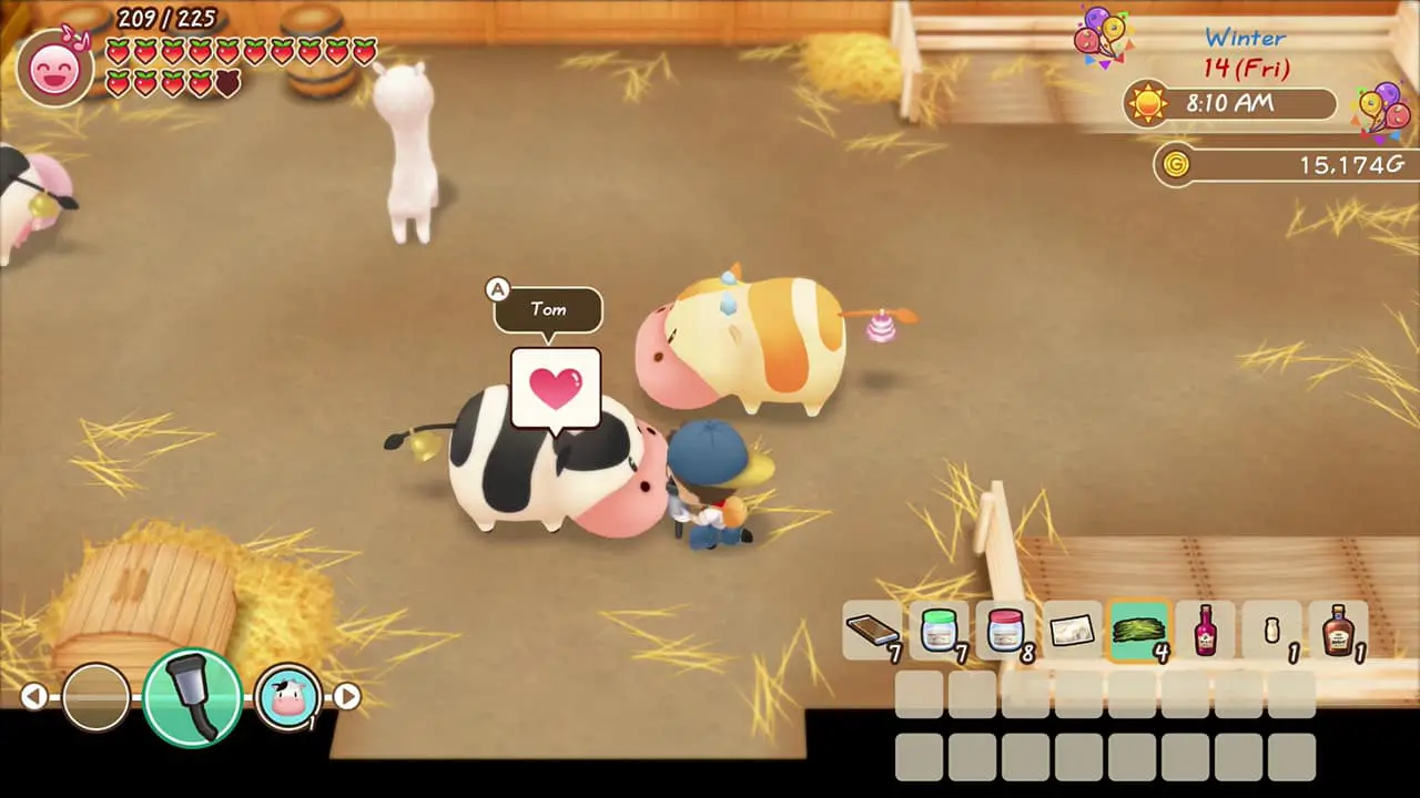 Story of Seasons: Friends of Mineral Town