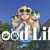 The good life sarà su xbox game pass, demo ora disponibile