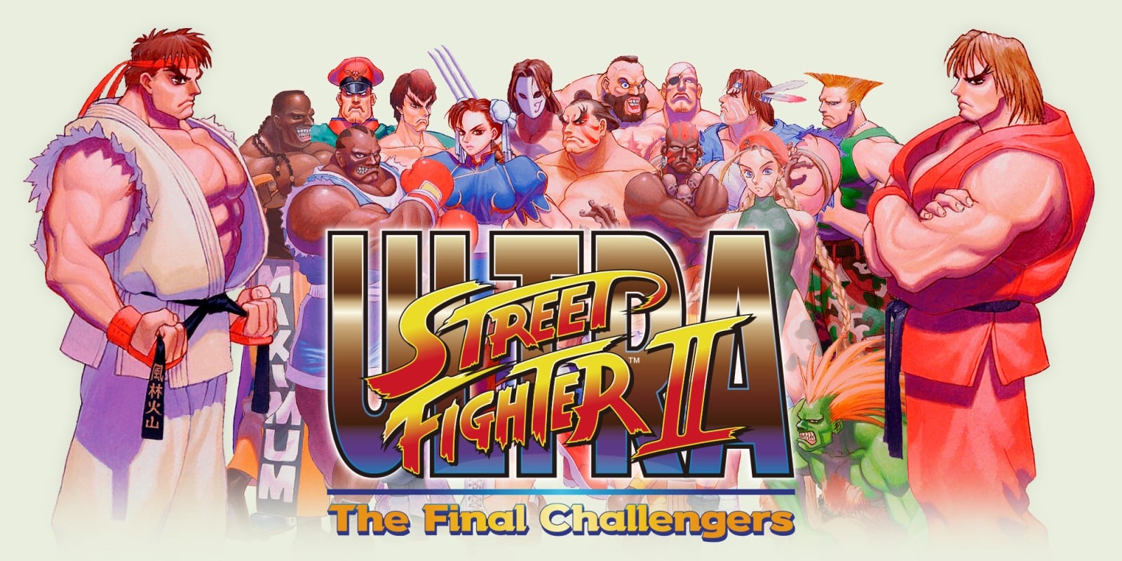 Ultra Street Fighter II sembra essere sparito dall'eShop americano