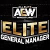 Aew elite general manager: patch note aggiornamento 1. 0. 11