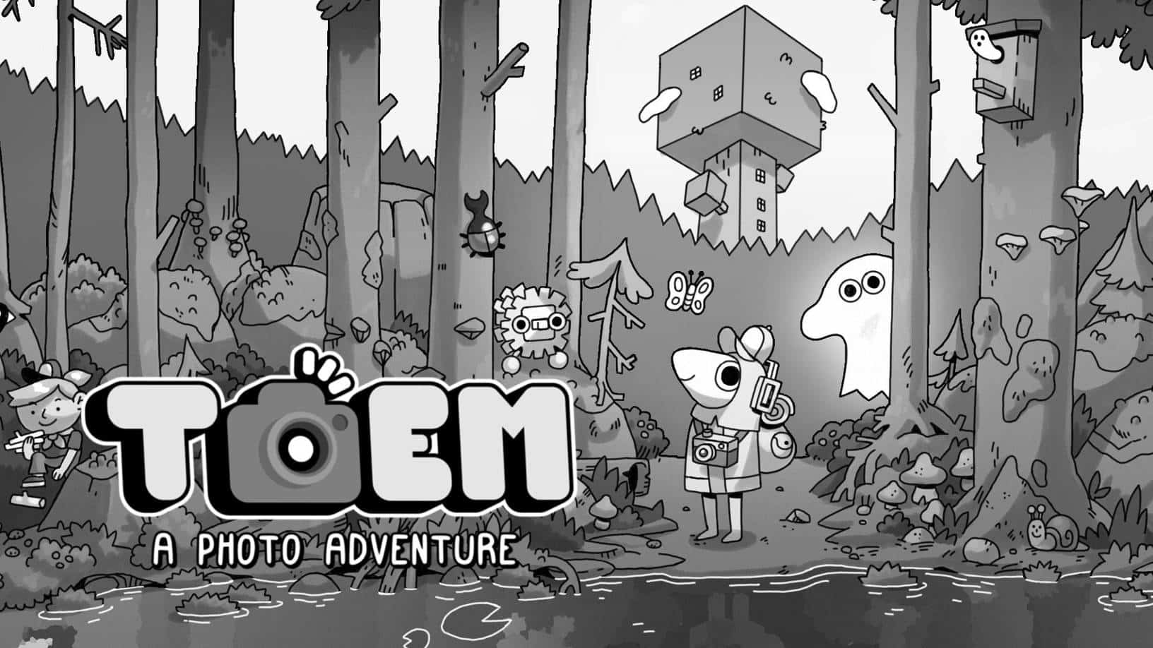 TOEM: A Photo Adventure